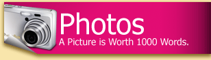 Right Heading Photos